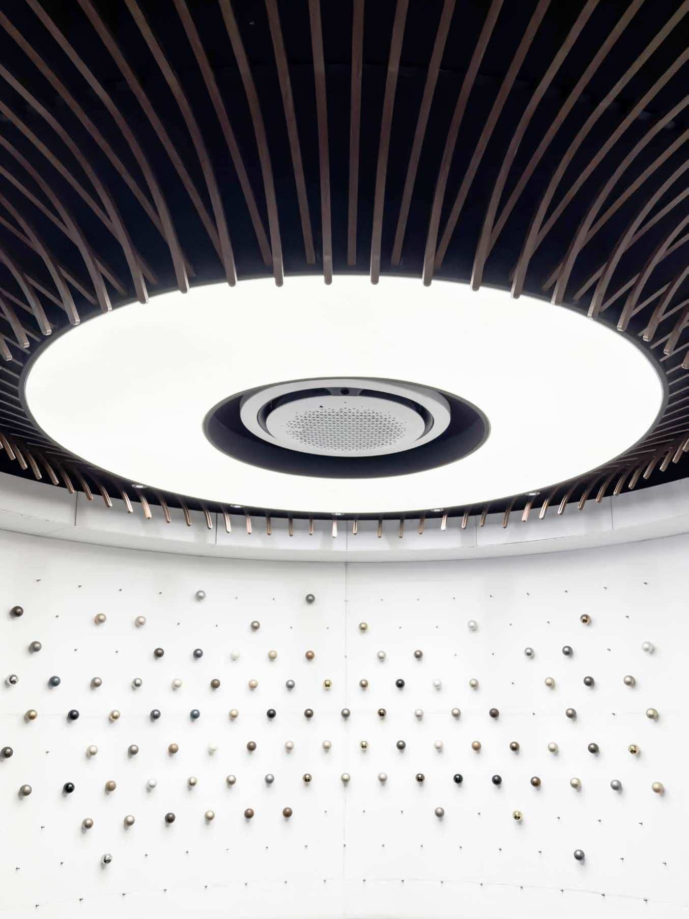 Iris woven mesh ceiling